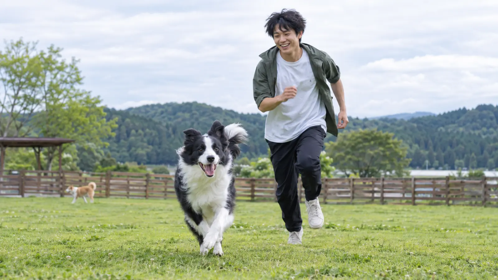 山の見える芝生のドッグランで、ボーダー・コリーと走る男性(イメージ)